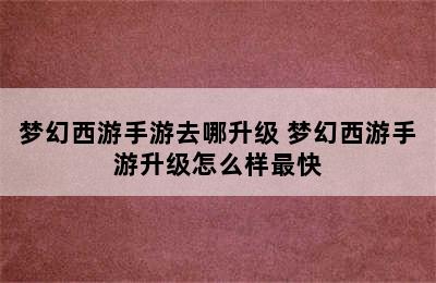 梦幻西游手游去哪升级 梦幻西游手游升级怎么样最快